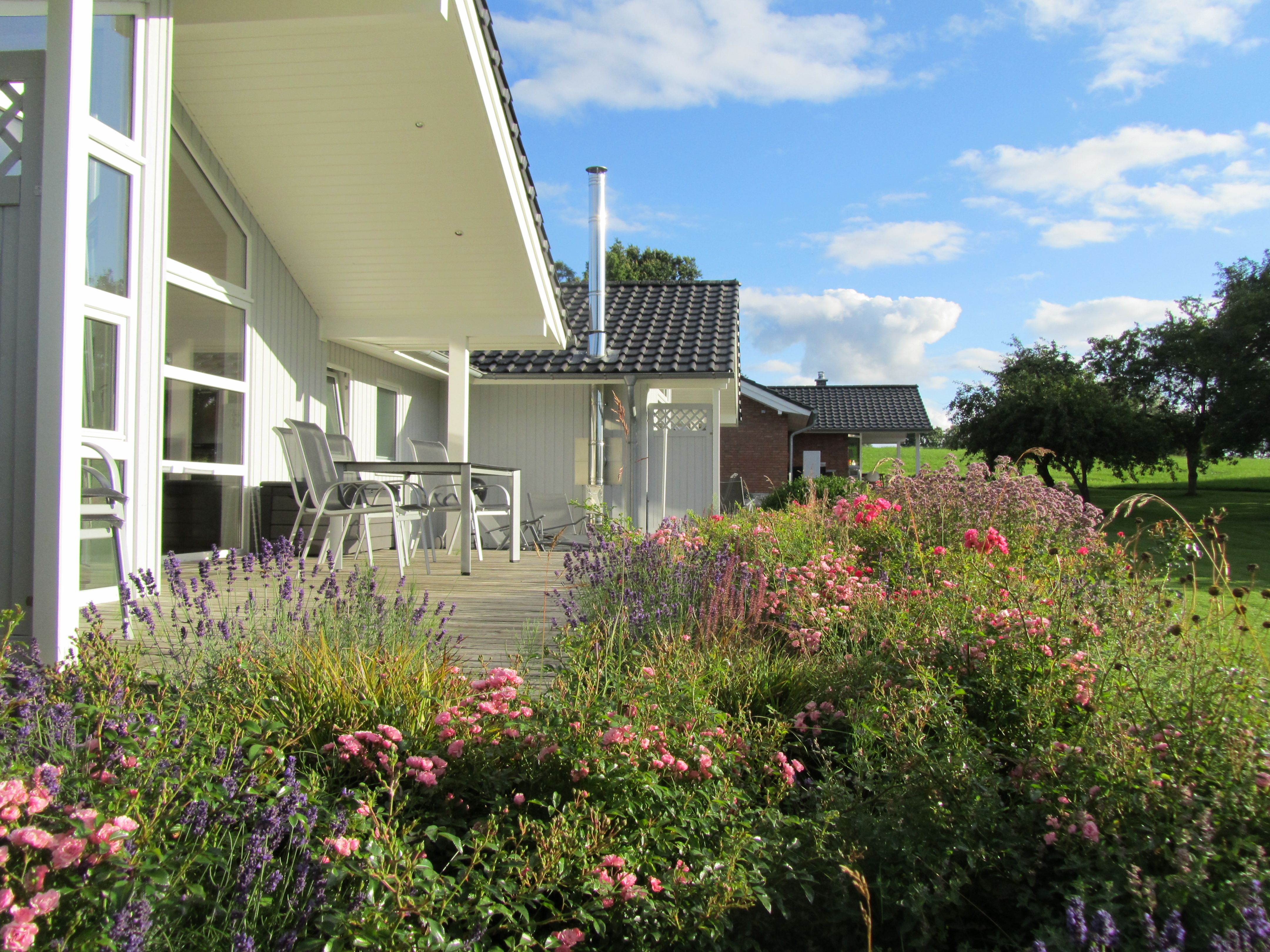 Blumen im Garten2