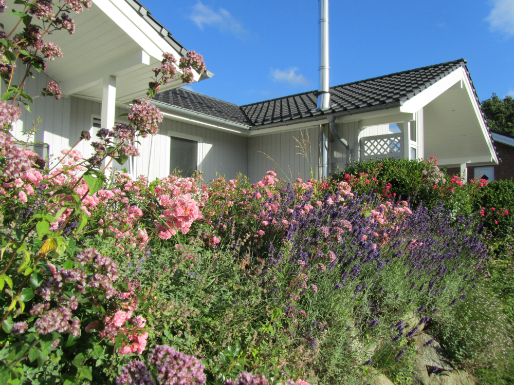 Haus3